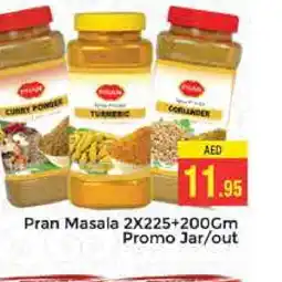 Pasons PRAN Spices / Masala offer