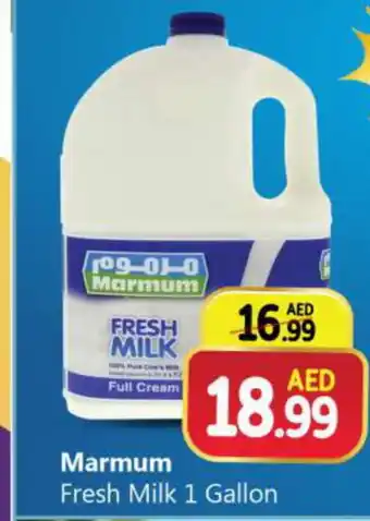 Al Madina MARMUM Fresh Milk offer