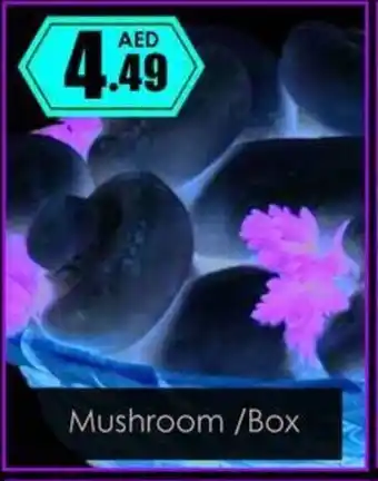 Amber Mushroom offer