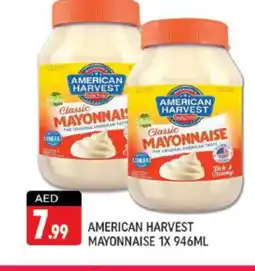 Shaklan AMERICAN CLASSIC Mayonnaise offer
