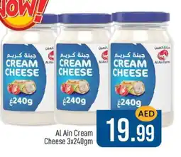Al Madina AL AIN Cream Cheese offer