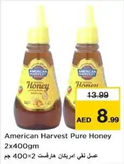 Nesto American Harvest Pure Honey offer