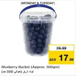 Nesto Blueberry Bucket offer