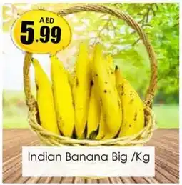 Amber Indian Banana Big offer