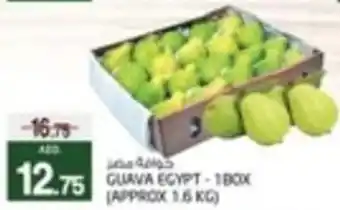 Safari Hypermarket Guava Egypt offer