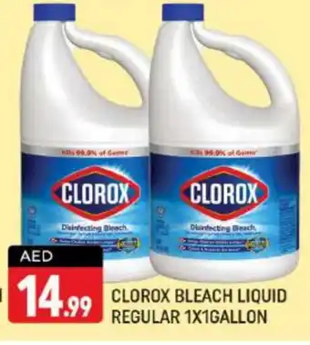 Shaklan CLOROX Bleach offer