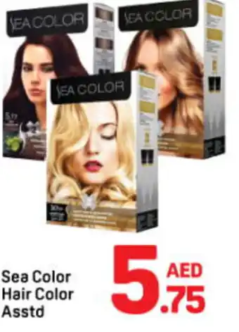 Day To Day Sea Color Hair Color Asstd offer
