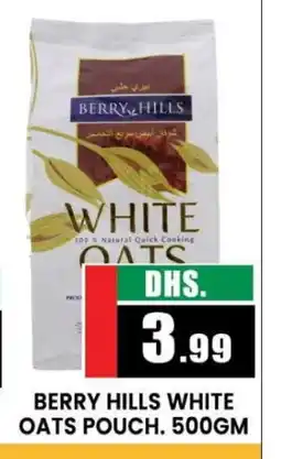 Al Madina BERRY HILLS Oats offer