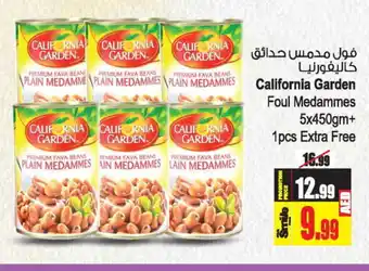 Ansar Gallery CALIFORNIA GARDEN Fava Beans offer