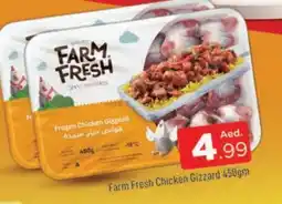Al Madina FARM FRESH Chicken Gizzard offer