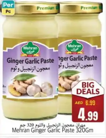 Pasons MEHRAN Garlic Paste offer