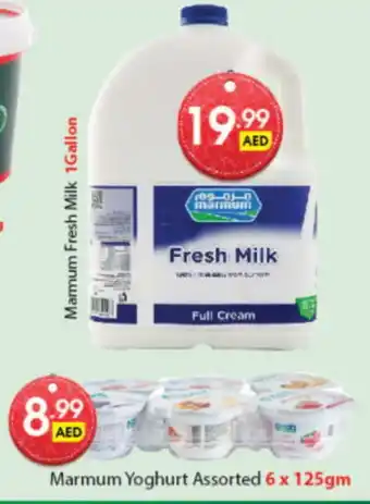 DESERT FRESH MARKET MARMUM Full Cream Milk offer