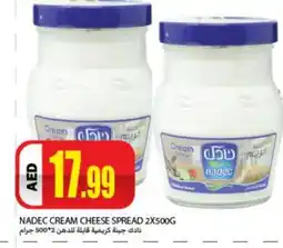 Rawabi Market NADEC Cream Cheese offer