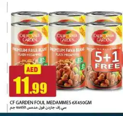 Rawabi Market CALIFORNIA GARDEN Fava Beans offer