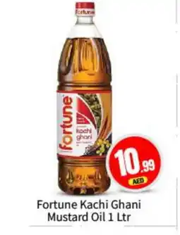 Bigmart FORTUNE Mustard Oil offer