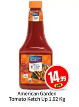 Bigmart AMERICAN GARDEN Tomato Ketchup offer