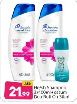Bigmart HEAD & SHOULDERS Shampoo / Conditioner offer