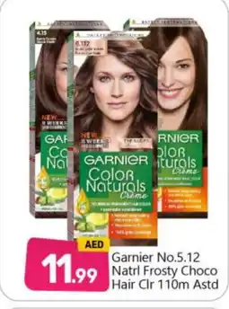 Bigmart GARNIER Hair Colour offer