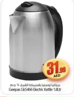 Bigmart GEEPAS Kettle offer