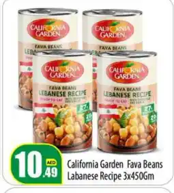 Bigmart CALIFORNIA GARDEN Fava Beans offer