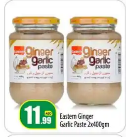 Bigmart EASTERN Garlic Paste offer