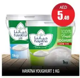 Bigmart HAYATNA Yoghurt offer