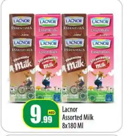 Bigmart LACNOR Flavoured Milk offer
