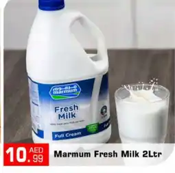 Bigmart MARMUM Fresh Milk offer