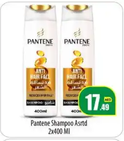 Bigmart PANTENE Shampoo / Conditioner offer