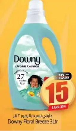 Bigmart DOWNY Softener offer