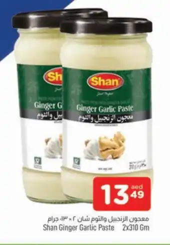 Al Madina SHAN Garlic Paste offer