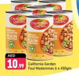 Shaklan CALIFORNIA GARDEN Fava Beans offer