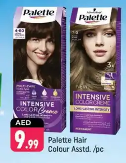 Shaklan PALETTE Hair Colour offer