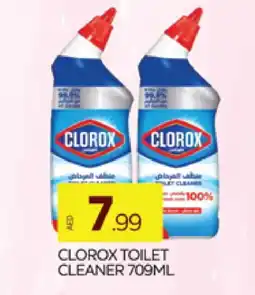 Al Madina CLOROX Toilet / Drain Cleaner offer