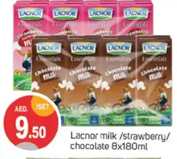 Talal Market LACNOR Flavoured Milk offer