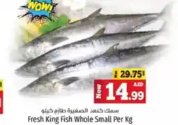 Kenz Hypermarket Fresh King Fish Whole Small offer