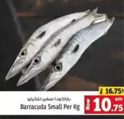 Kenz Hypermarket Barracuda Small offer