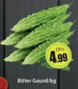 Al Madina Bitter Gourd offer