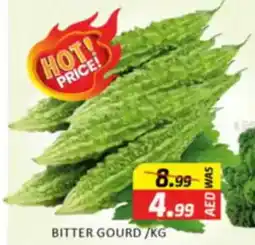 Al Madina Bitter Gourd offer