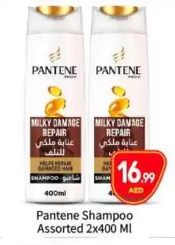 Bigmart PANTENE Shampoo / Conditioner offer