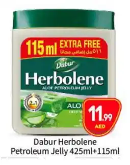 Bigmart DABUR Petroleum Jelly offer