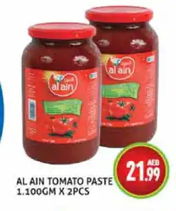 Palm Centre AL AIN Tomato Paste offer