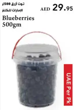 Almaya supermarket Blueberries offer