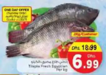 Nesto Tilapia Fresh Egyptian offer