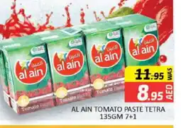 Al Madina AL AIN Tomato Paste offer