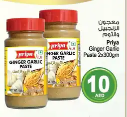 Ansar Gallery PRIYA Garlic Paste offer