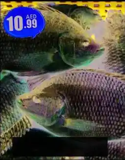 Amber Tilapia offer