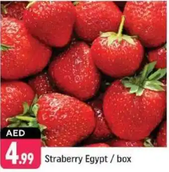 Shaklan Straberry Egypt offer