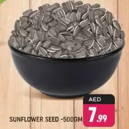 Shaklan Sunflower seed offer