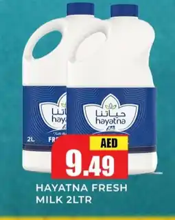 Meena Al Madina Hypermarket HAYATNA Fresh Milk offer